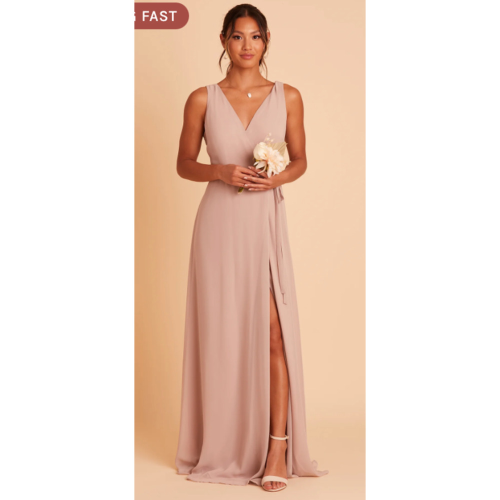 Birdy Grey Minae Dress in Taupe Chiffon NWT Small